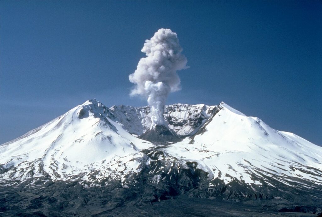 Hlodavce, záchranári hôr po ničivej erupcii