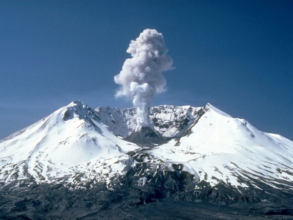 Hlodavce, záchranári hôr po ničivej erupcii
